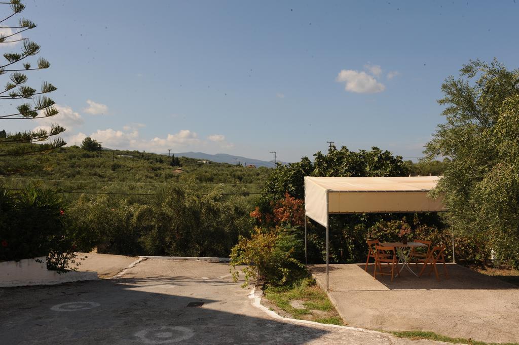 Isavella