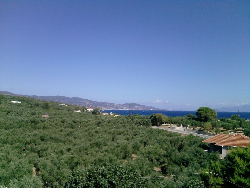 Isavella